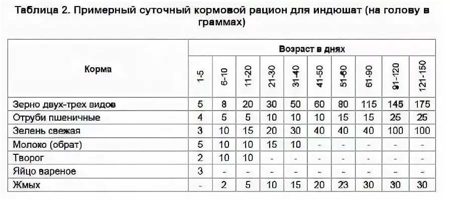 Можно ли кормить индюшат. Таблица корма для индюков. Рацион кормления индюков в домашних условиях таблица. Схема пропойки индюков. Рацион питания для индюков с 1 месяца.