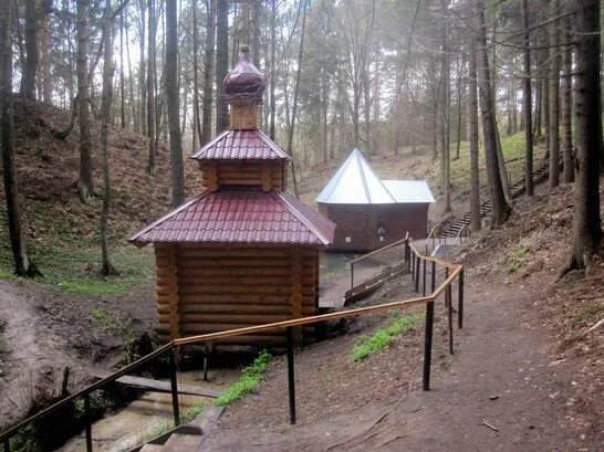 Алексин источник пантелеймона целителя. Серебряный родник куровское. Серебряное святой источник. Серебряные ключи брянская область. Куровское родник.