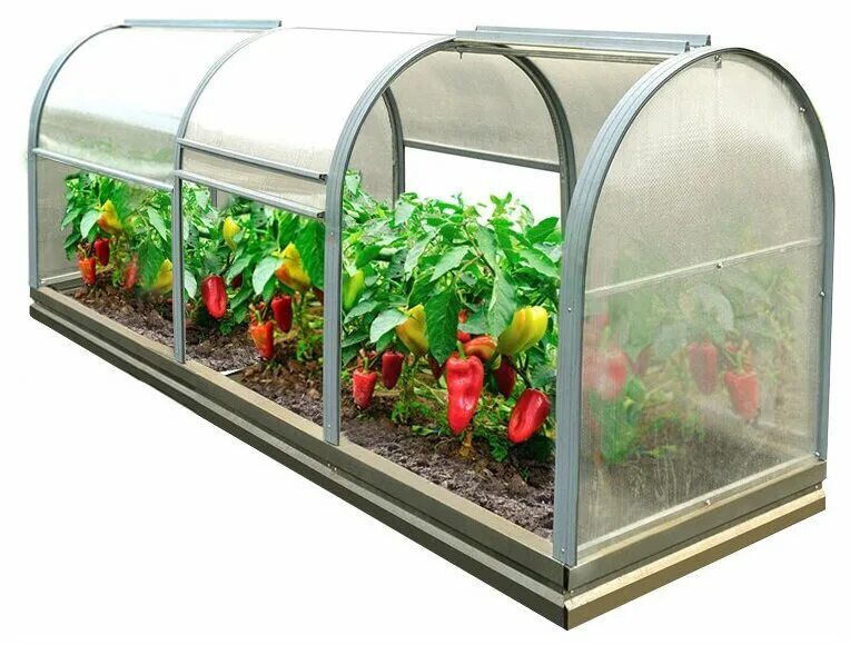 Тмк прогресс-мини. Теплица прогресс тмк. Парник тюльпан мини 3м экострой в москве. Парник тюльпан мини 3м экострой. Парник тмк "удача" сборека.