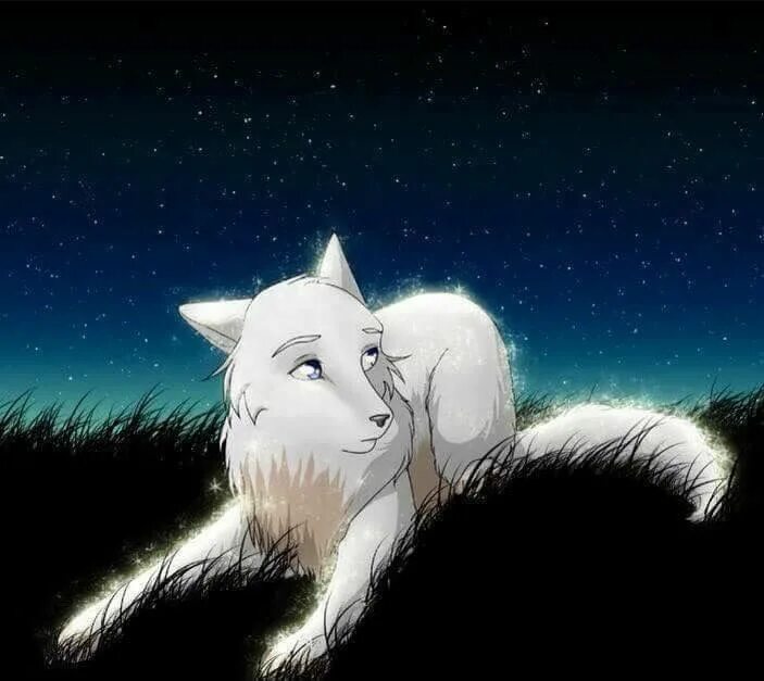 Волки любовь. Волки воители белая волчица. Бьянка волчица из мультика. Белая волчица с голубыми глазами. Волчица 10.