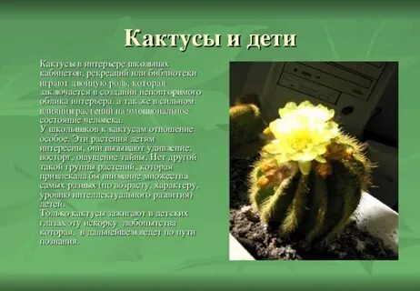 Вывод кактуса