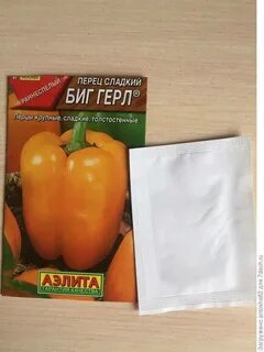 Перец биг бой описание