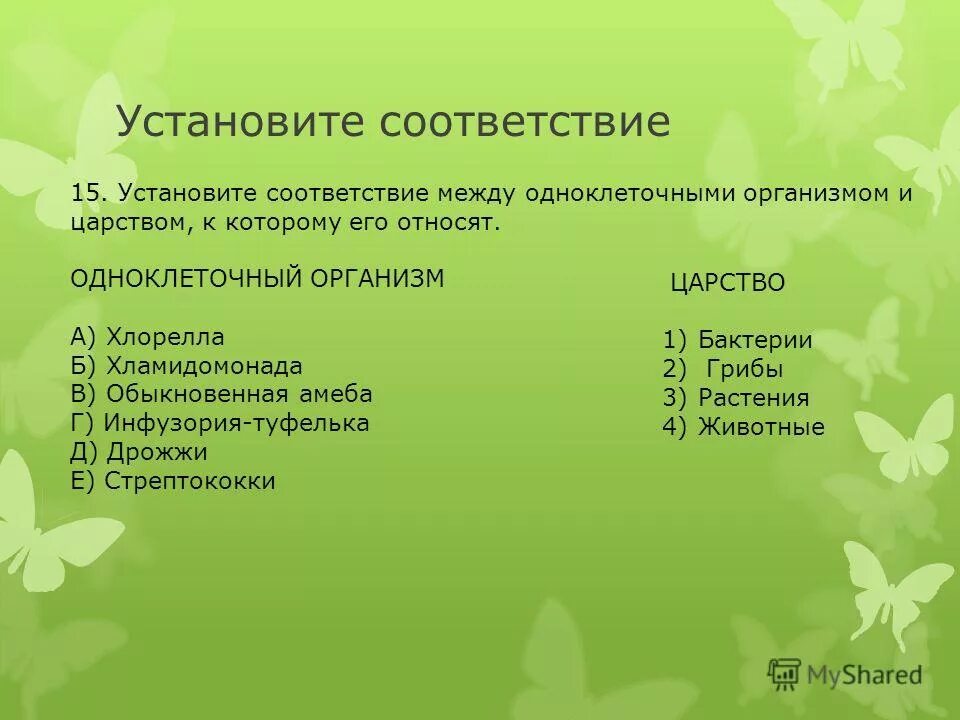 Характеристика царства бактерий 5 класс биология пасечник. Установите соответствие между организмами и царствами живой природы. Установите соответствие между царствами и представителями. Установите соответствие между организмами и царствами живой природы. Соответствие между организмами и царствами живой.