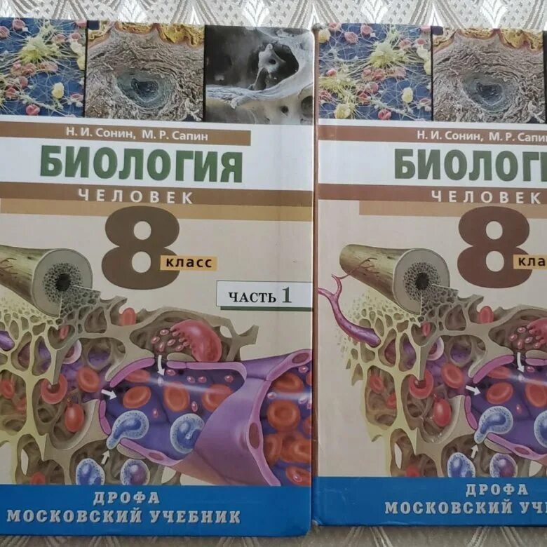 Биология 8 класс 18. Биология 8 класс. Учебник по биологии 8 класс. Биология 8 класс учебник читать. Биология биология восьмой класс.