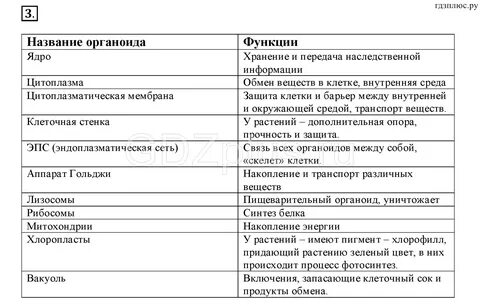 Тест по биологии 9 класс органоиды клетки YouDrop.ru