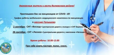 График работы бокса в поликлинике