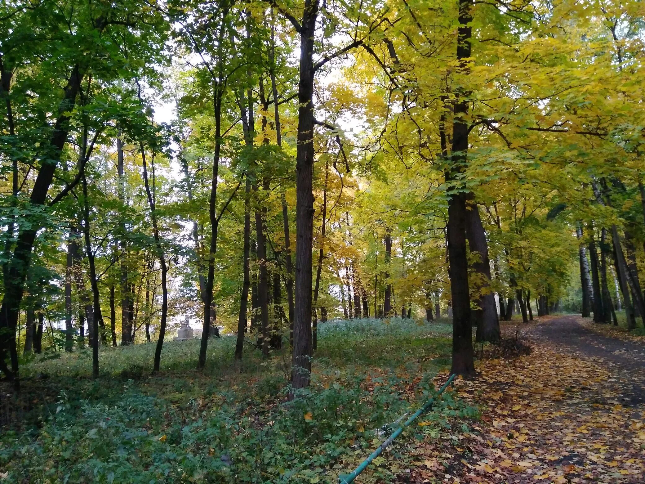 Третий трудовой семестр студенческих отрядов. Александр родионов москва. День города балашиха. Уралан 2009. Прогимназия клинцы садик.