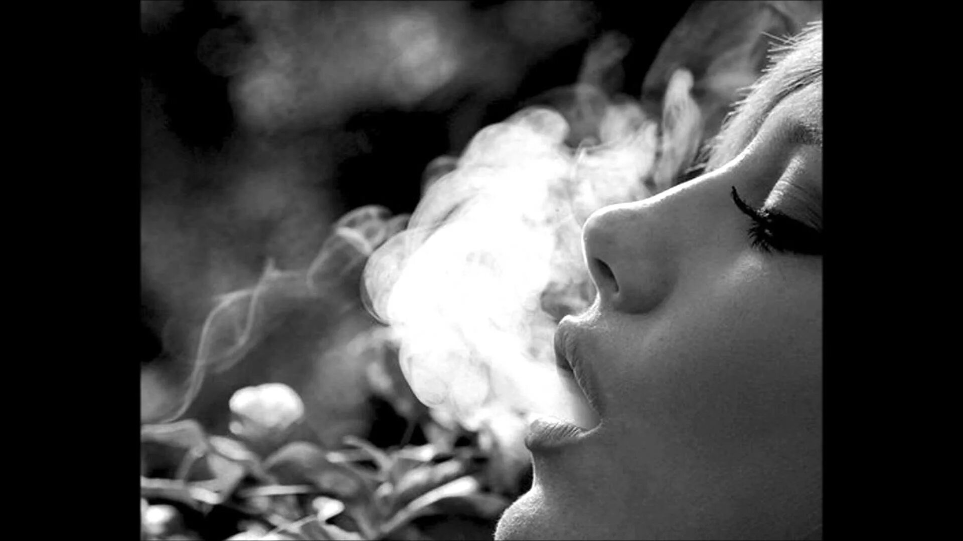 Smoke blunt
