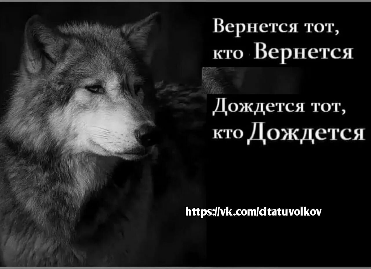 Статус одиноко проживающего