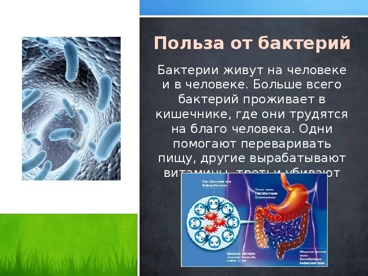 Бактерии сообщение кратко. Бактерии презентация. Сообщение о бактериях 3 класс. Бактерии 3 класс окружающий мир. Бактерии презентация 3 класс.