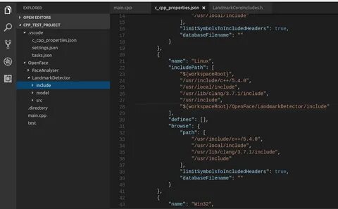 C cpp properties json
