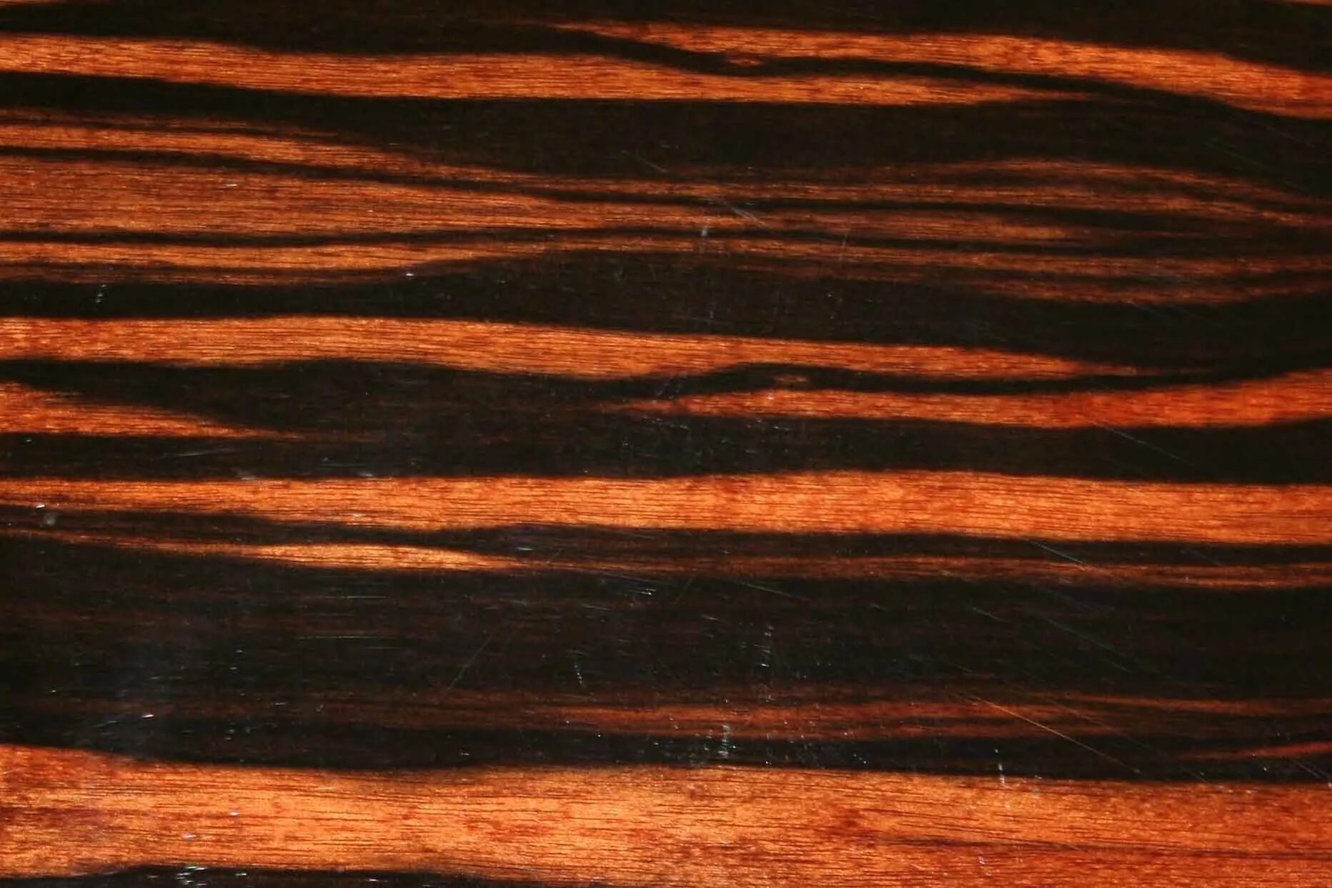 Ekzofloor палисандр. Wood палисандр. Бразильский палисандр dalbergia nigra. Шпон палисандр сантос текстура. Массивная доска палисандр.