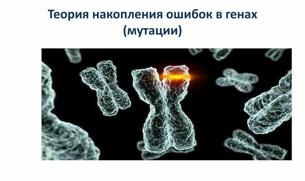 Мутация передается
