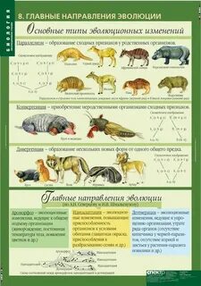 Организмы 7 класс конспект