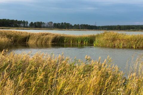 Село городок