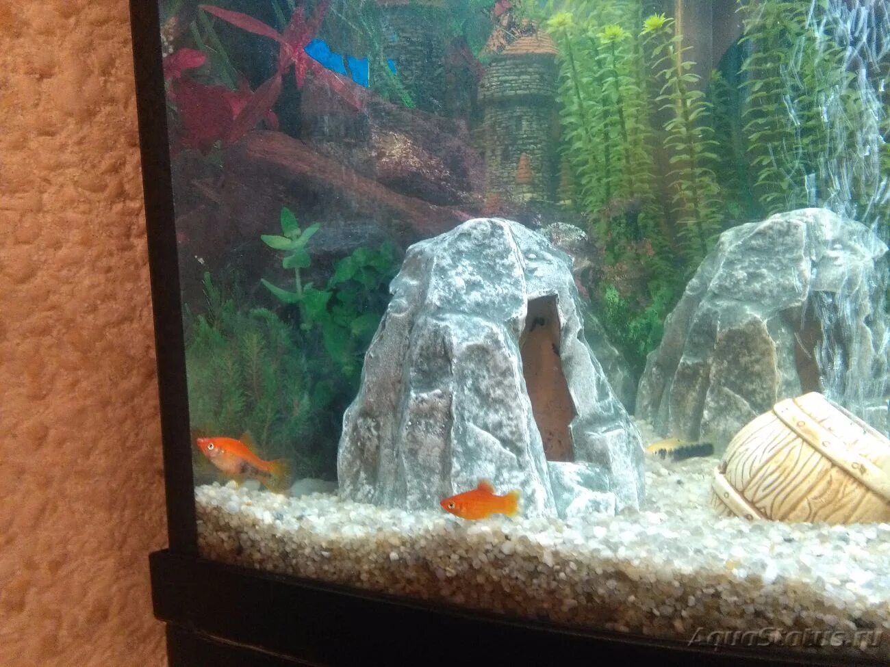 Аквариум 90. Аквариум 90х45х45 без ребер. Аквариум 90. Аквариум 90 литров цена. Аквариум прямоугольный 20 литров с крышкой.