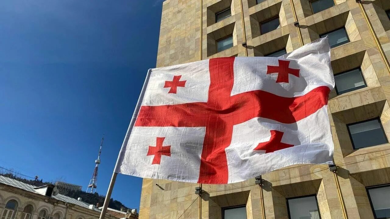 Грузия готовится. Национальная еда грузии. Митинг в тбилиси. Грузия тбилиси флаг. Манифестация в грузии.