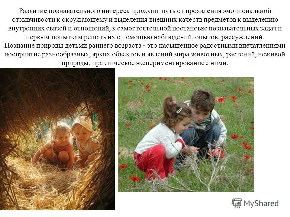 маленький исследователь в детском саду. ребенок познает мир. методы для дошкольников. дети и природа. общение с природой.