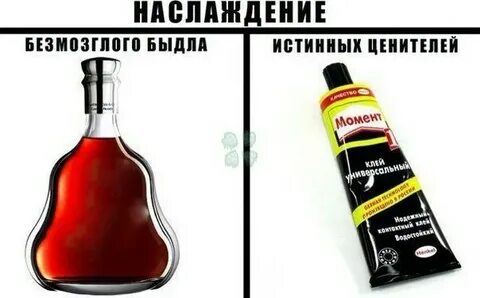Истинный ценитель