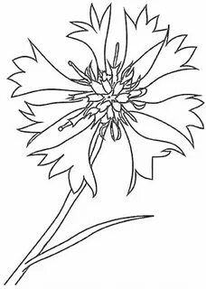 Раскраска Алдар Көсе и богатый человек в юрте с едой и фруктами #400517