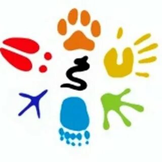 Forums net