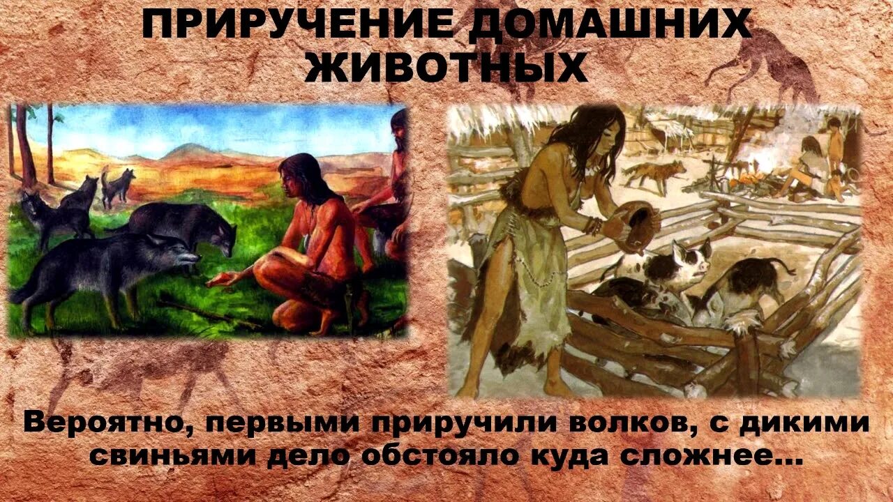 Собирательство в древности. Люди бронзового века. Энеолит (меднокаменный век). Каменный век на кавказе. Жилище древнего человека кубановедение.