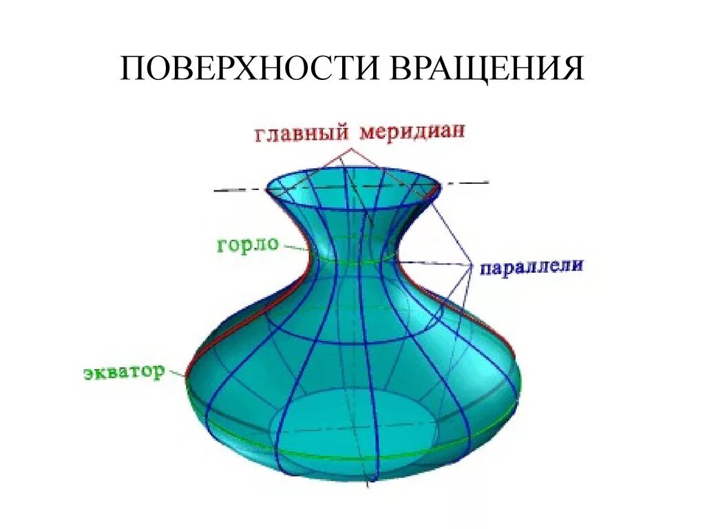 Глоток главный. Меридиан поверхности вращения. Что называется параллелью и меридианом поверхности вращения.. Экватор поверхности вращения это. Параллель поверхности вращения это.