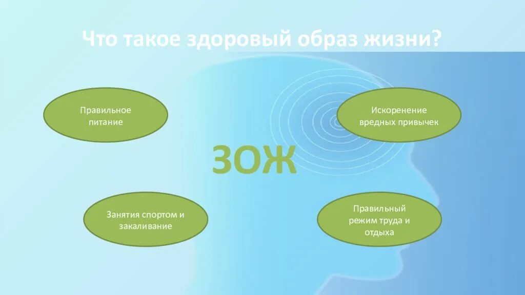 Система зож