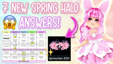 Halo answers
