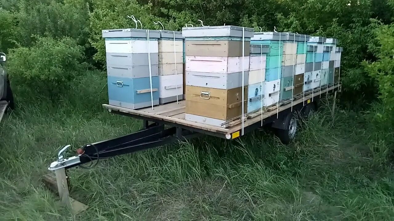 Купить прицеп для пчел