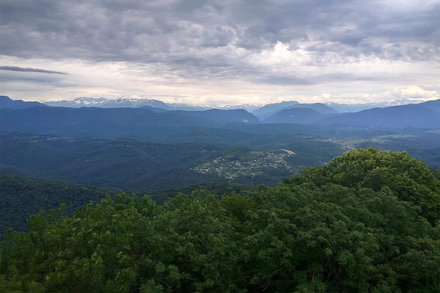 Красная поляна сочи природа. Гора большая чура сочи. Красная поляна горы. Горный массив ахун. Красная поляна сочи лето.