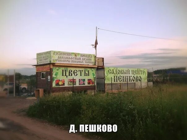 Деревня центр. Садовый центр Пешково. Торговый центр в деревне. Дом культуры Пешково. Ферма Пешково Ногинск.