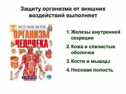 Защищает от внешних воздействий какая ткань