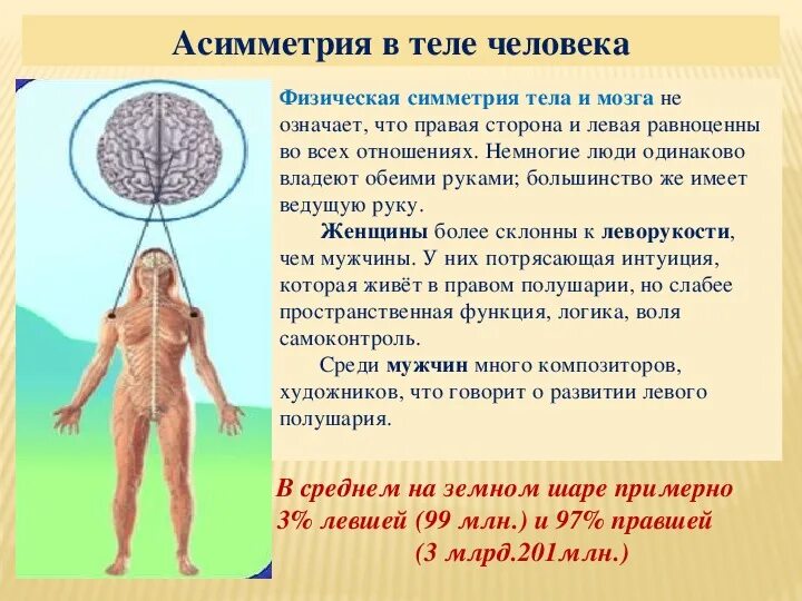 Одинаково владеют правой и левой рукой. Асимметрия в организме человека. Симметрия тела человека. Асимметрия в теле человека. Симметрия и асимметрия в теле человека.