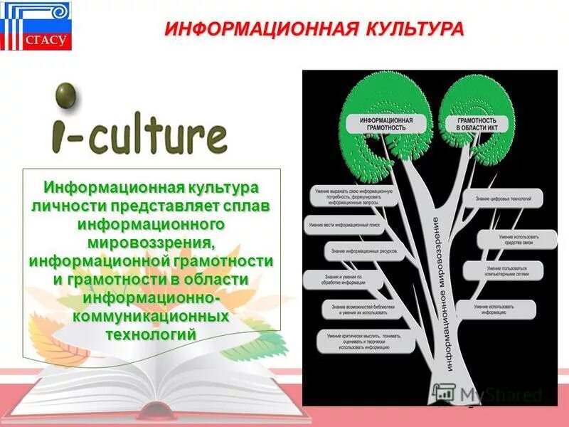 Типы информационных культур. Информационная культура личности. Информационная грамотность. «Основы информационной культуры личности»:. Информационная культура студента.