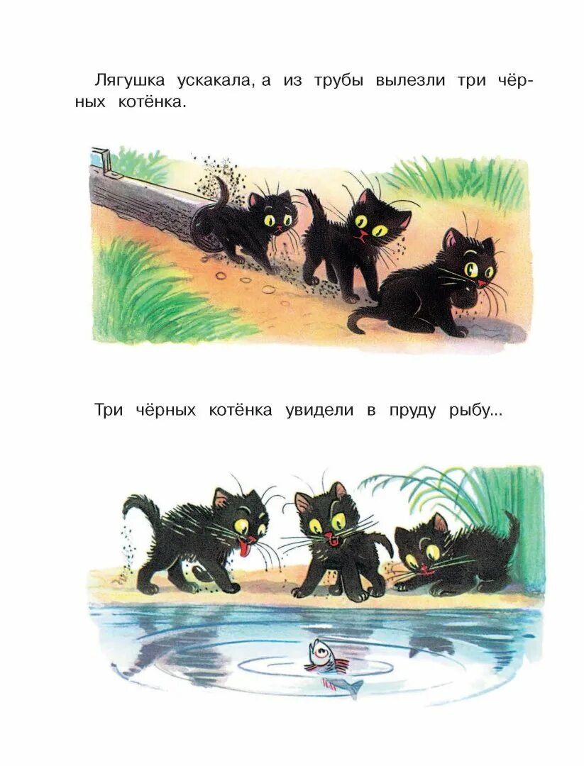 Читать три котята с картинками. Сутеев в. &quot;три котенка&quot;. картинки к сказке сутеева три котенка. сутеев истории в картинках. три котенка иллюстрации.