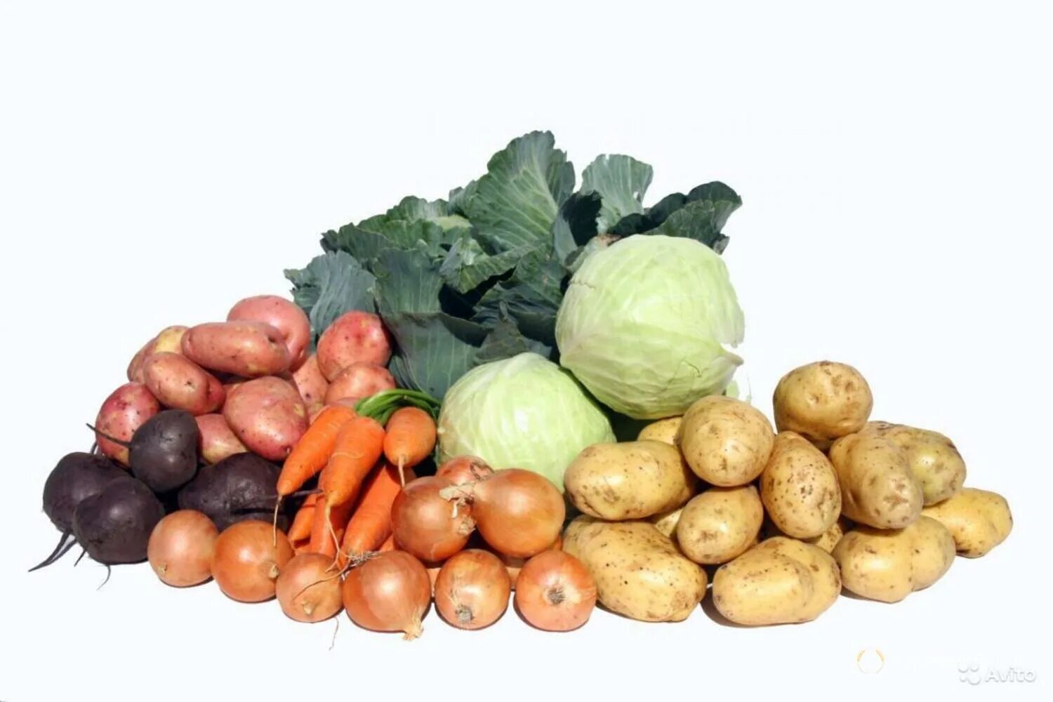 Ассортимент овощей. Овощи картофель. Деревенские овощи. Картофель лук морковь.