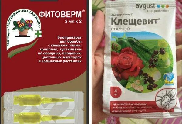 Фитоверм 10 мл. Клещевит, актофит. Фитоверм или биотлин. Клещевит 10 мл. Фитоверм и клещевит.