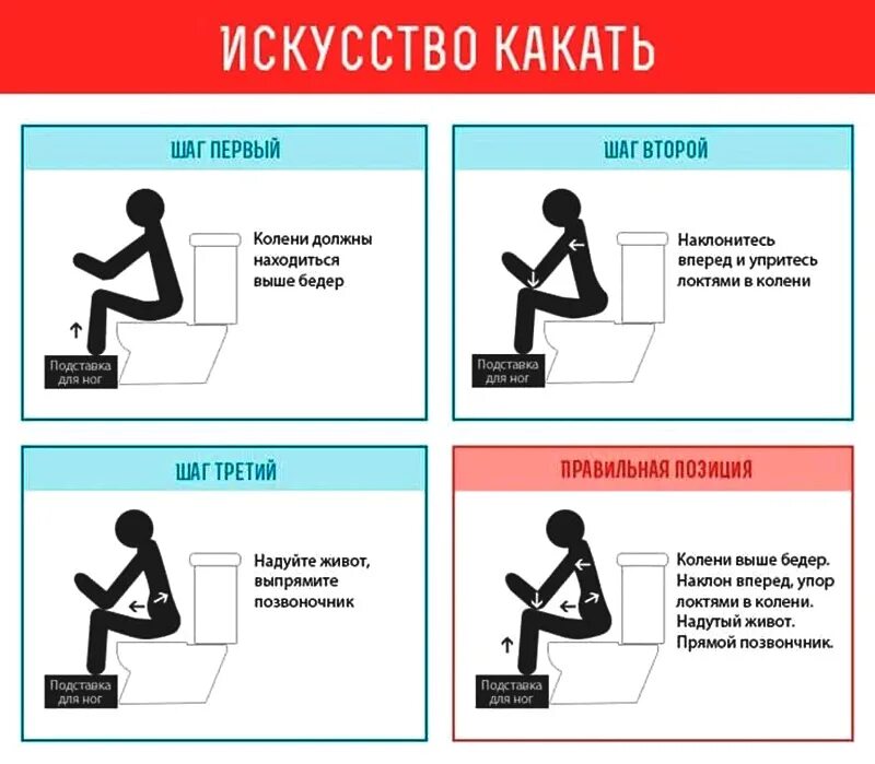 Как правильно какать. Правильный поход в туалет. Правильная поза для какания. Правильная поза для туалета по большому. Что делать если долго не есть