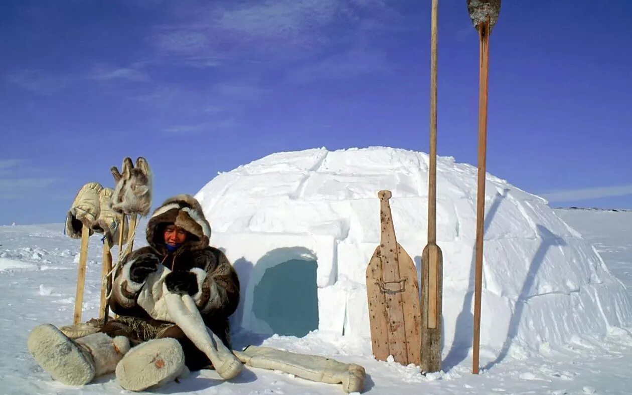 Живу в холодном доме. Яранги эскимосов Аляски. Эскимосы инуиты. Иглу жилище эскимосов. Инуиты — Канадские Эскимосы.