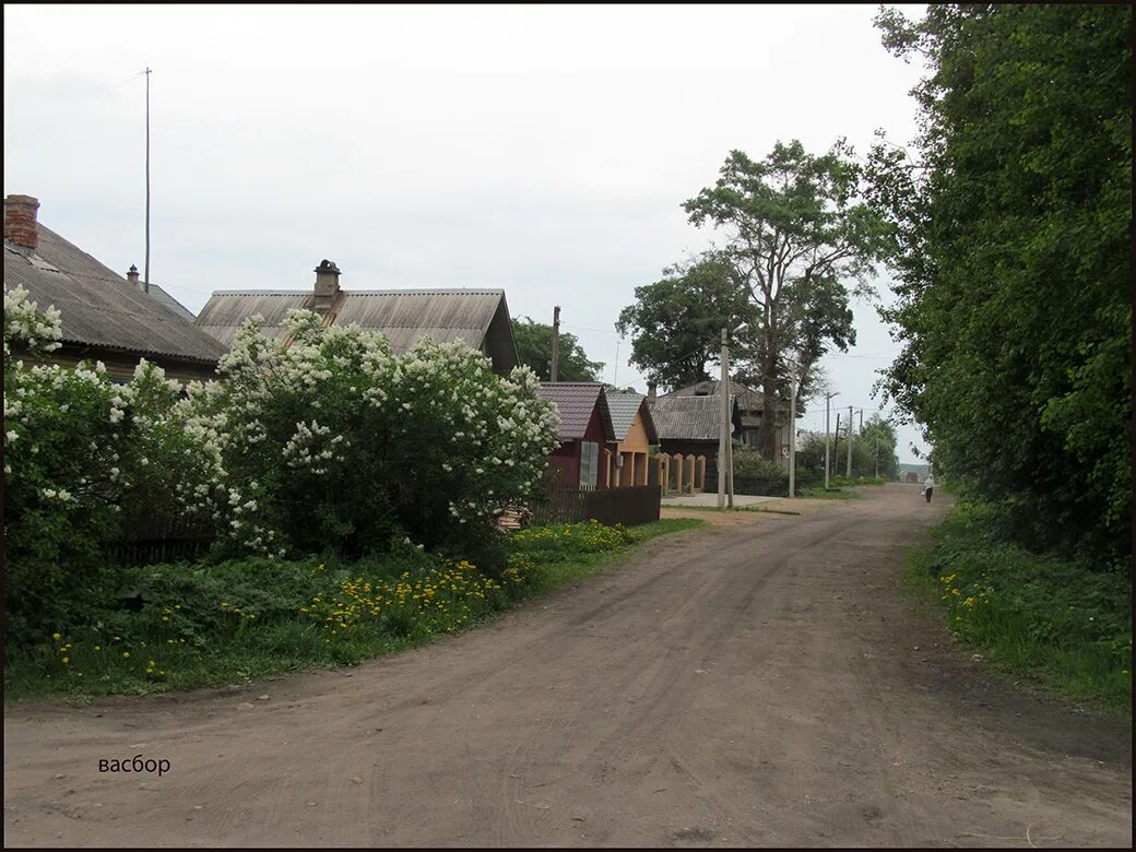Кадникова деревня. Кадников вологодская область. городское поселение г. кадников. город кадников вологодская область достопримечательности. деревня кадникова главная улица.