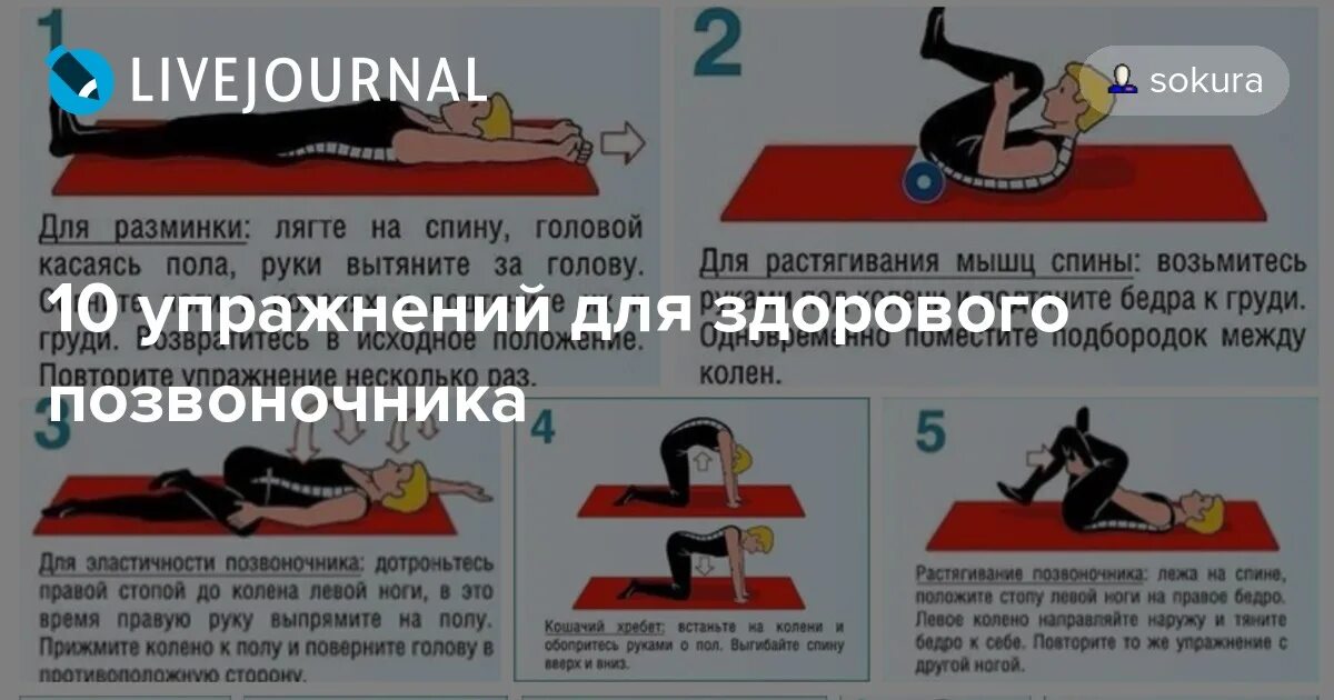 Положение позвоночника лежа на спине. Упражнение для спины для эластичности позвоночника. Здоровый позвоночник упражнения. Лежать на полу для спины. Спать на полу для позвоночника.