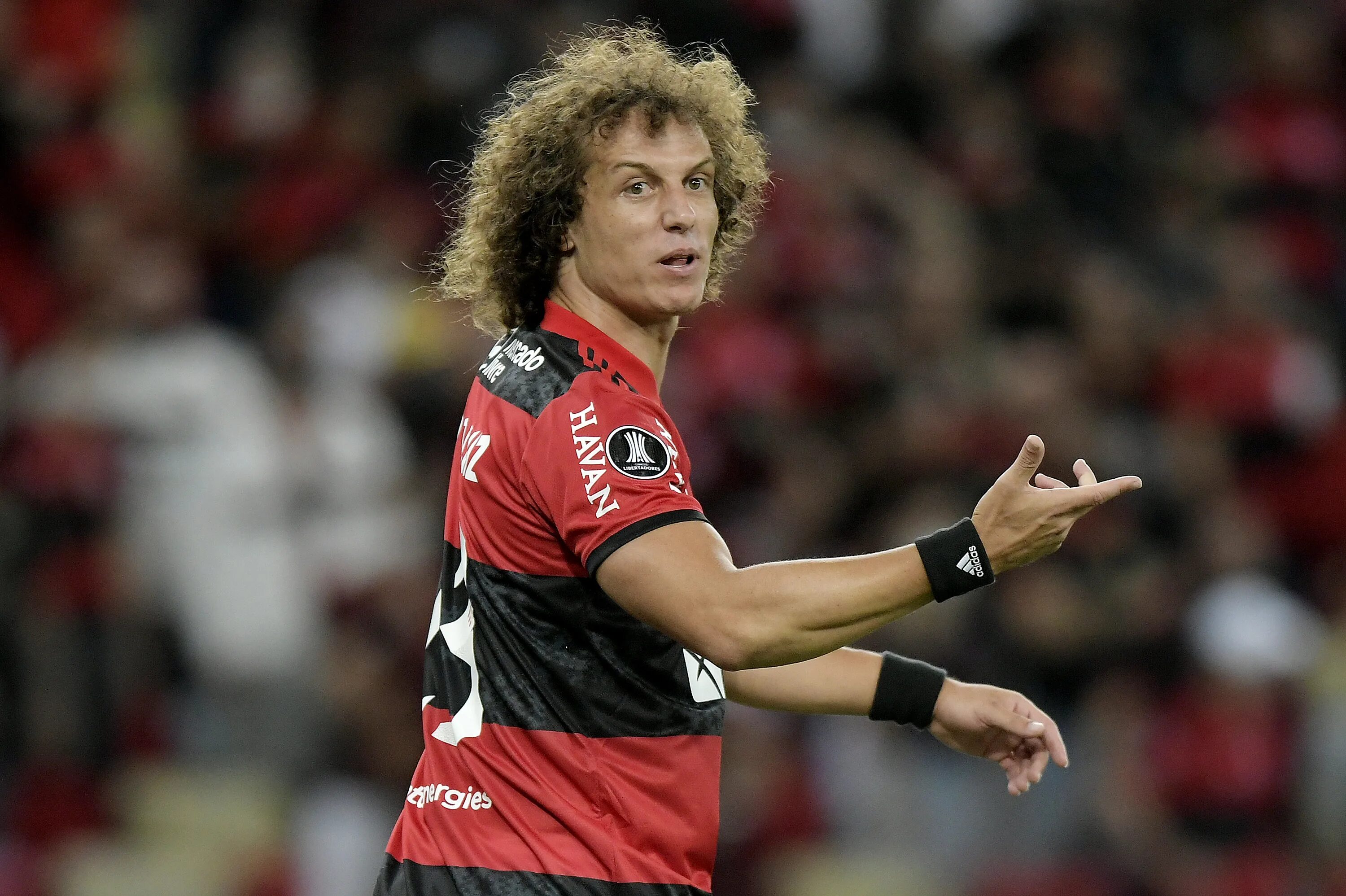 Luis david. David luiz 2025.