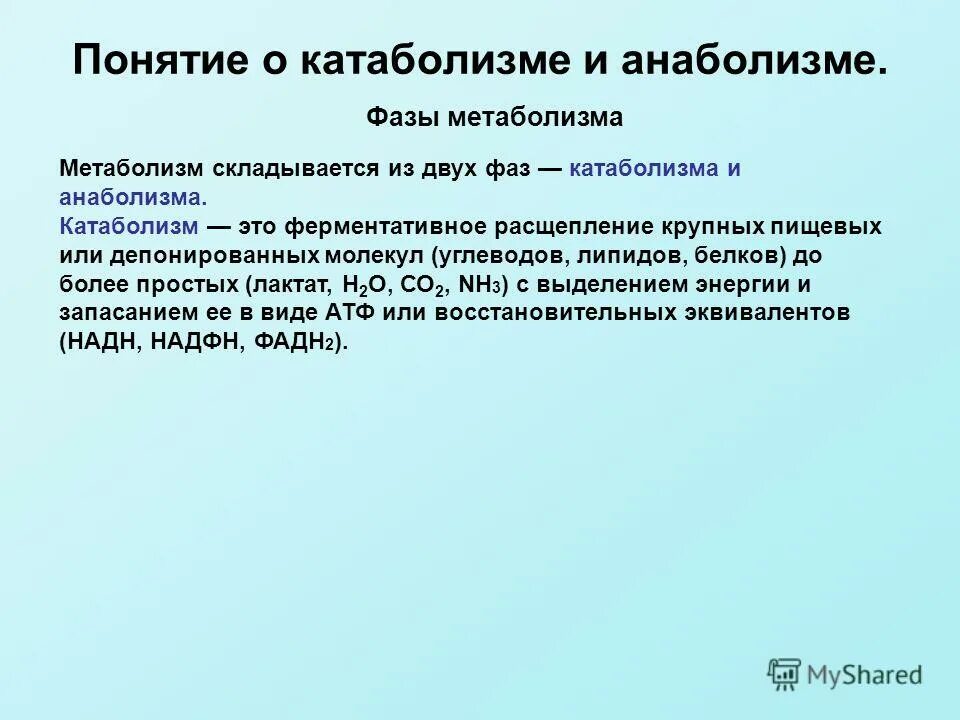 обмен веществ складывается из