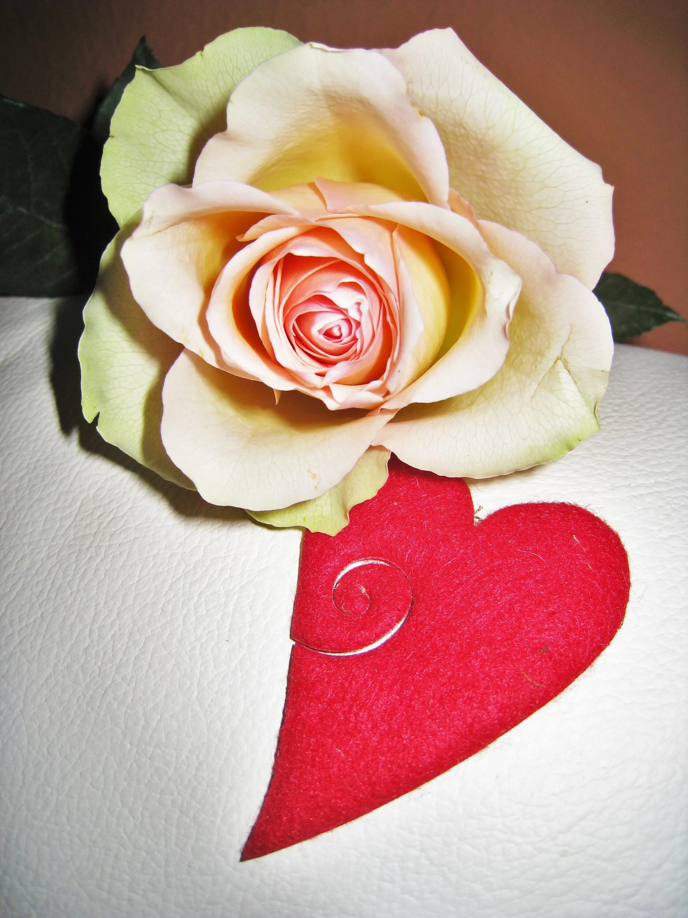 Розы сердечком. Розы в сердце. Розочка в сердечке. Красивые сердечки с розами. Сердце любовь розы