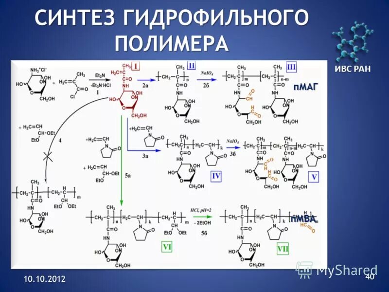 Ивс ран. Биомиметический липид. Схема взаимодействия вируса с клеткой. Источник возбуждения спектра. Биосинтез полимеров оболочки.