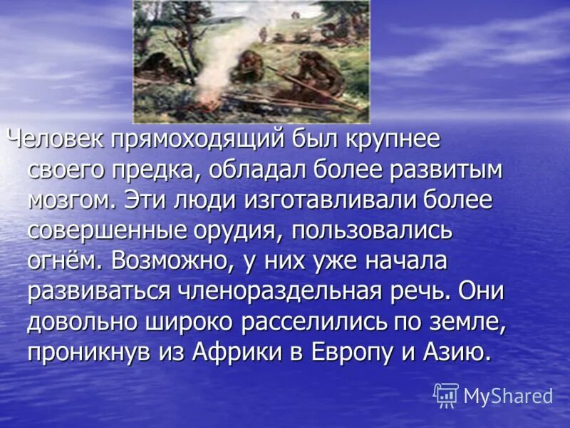 биологическая сказка 5 класс