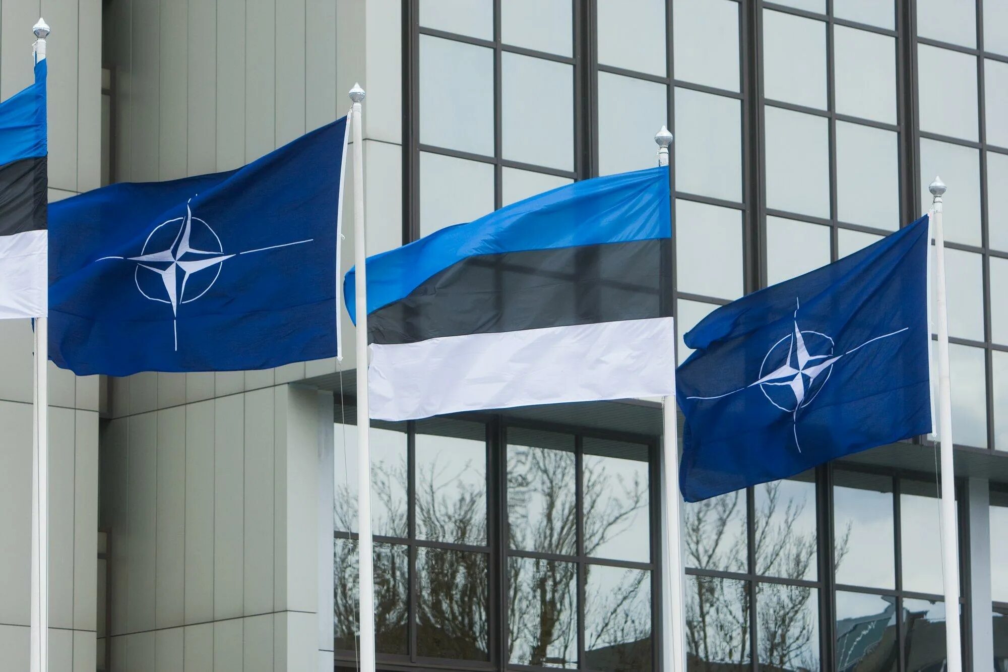 Нато санкт петербург. Военный комитет НАТО. Латвия Литва Эстония в НАТО. Эстония + NATO флаг. НАТО В Прибалтике.