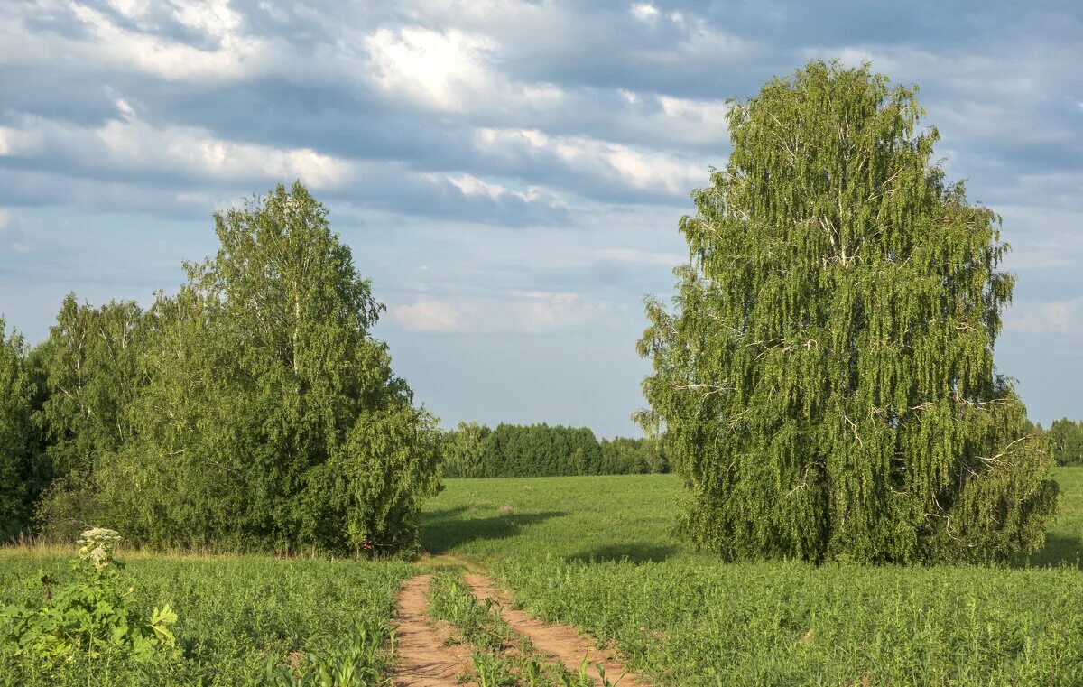 Окрестность исчезла