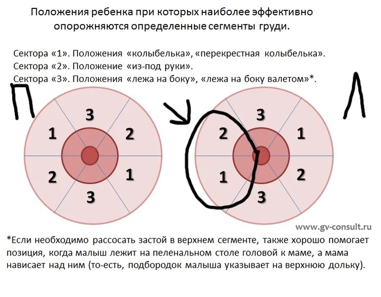 Положение долями